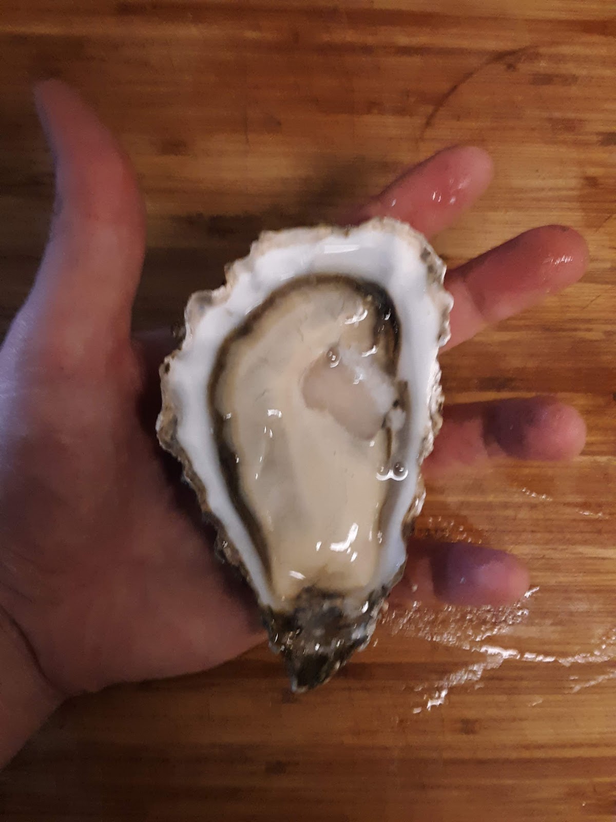 The SF Oyster Nerd Pickled Oysters