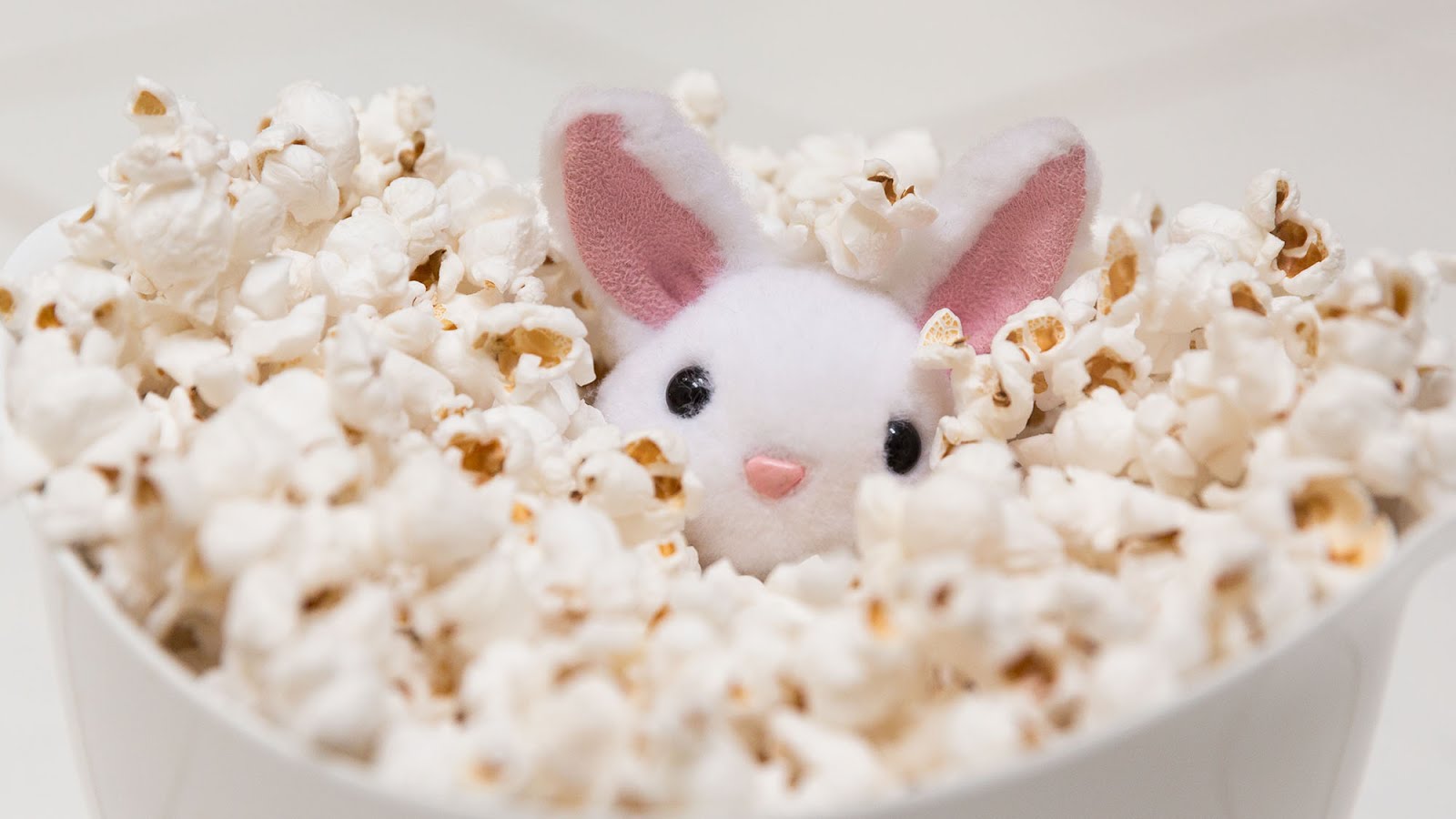 Popcorn Bunny Mia Rabbit