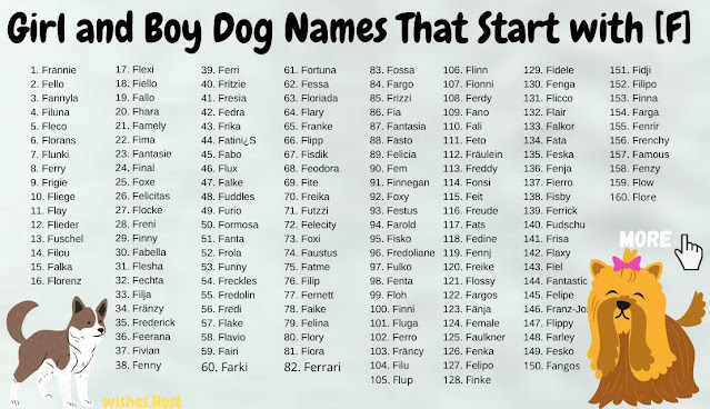 Cool Dog Names That Start with F