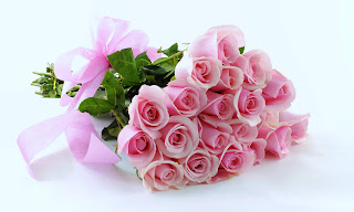 Pink Rose Images