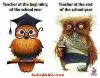 owls of teachers