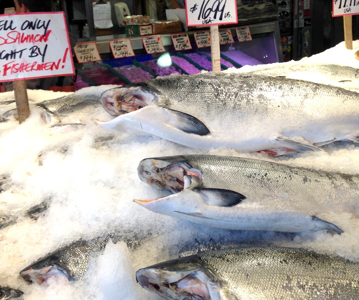 Copper River Salmon Run Doesn't Look Strong, Cordova Reports Copper