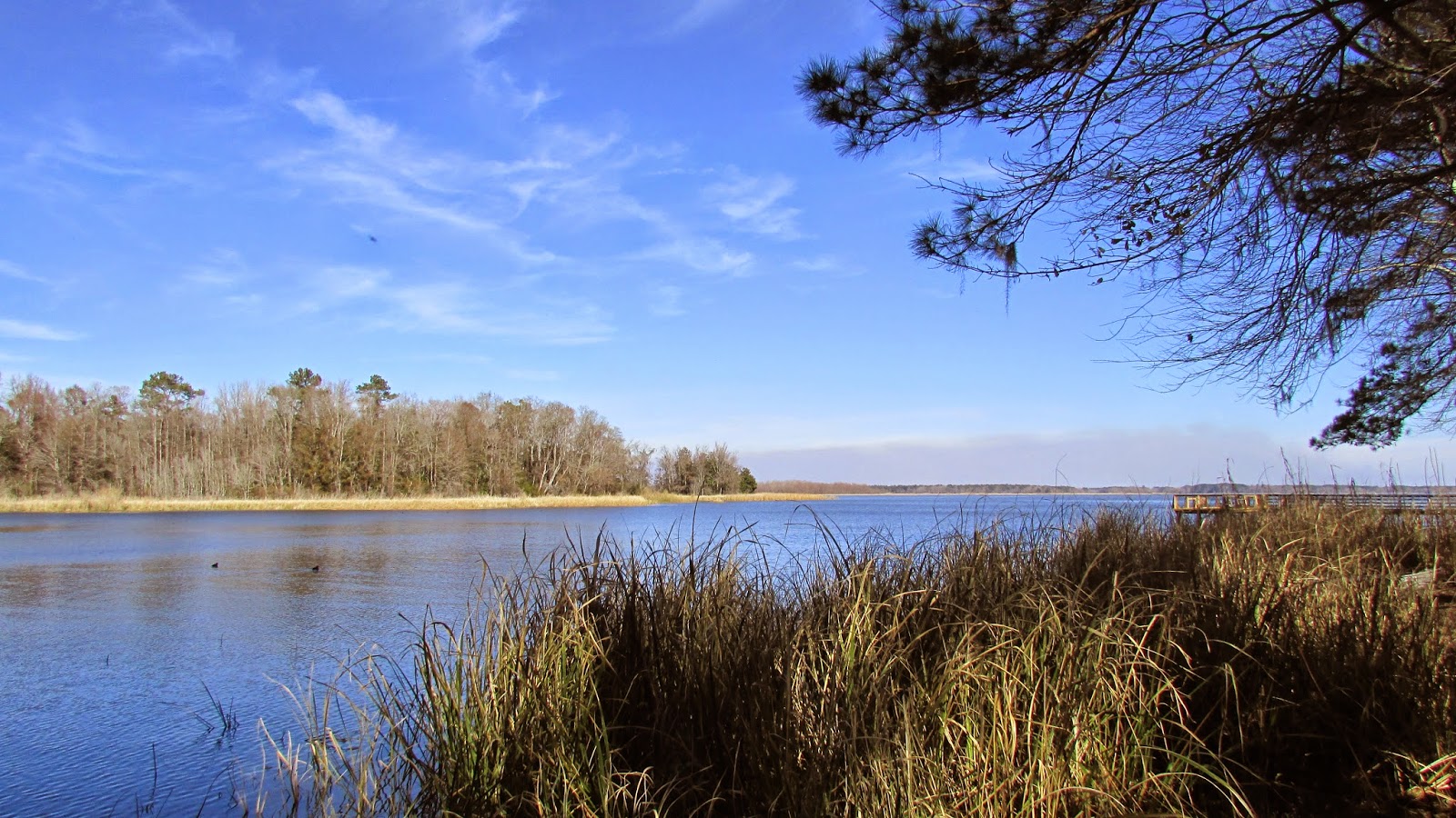 Adventures Of Toaster: Three Rivers State Park: Our Second Visit