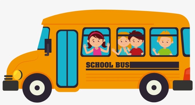 School Bus Shuttle Business: Guide on How to Start in Nigeria