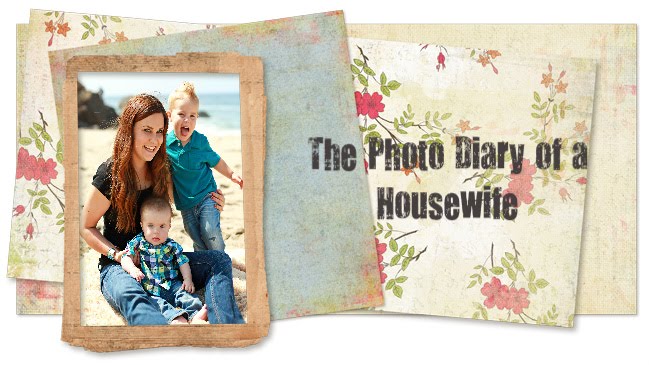 The Photo Diary of a Housewife