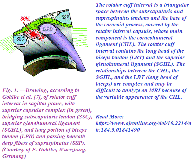 MRI of the Rotator Interval Capsule