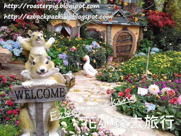 香港花卉展覽2021:鮮花童話世界+大埔花展(5月更新)