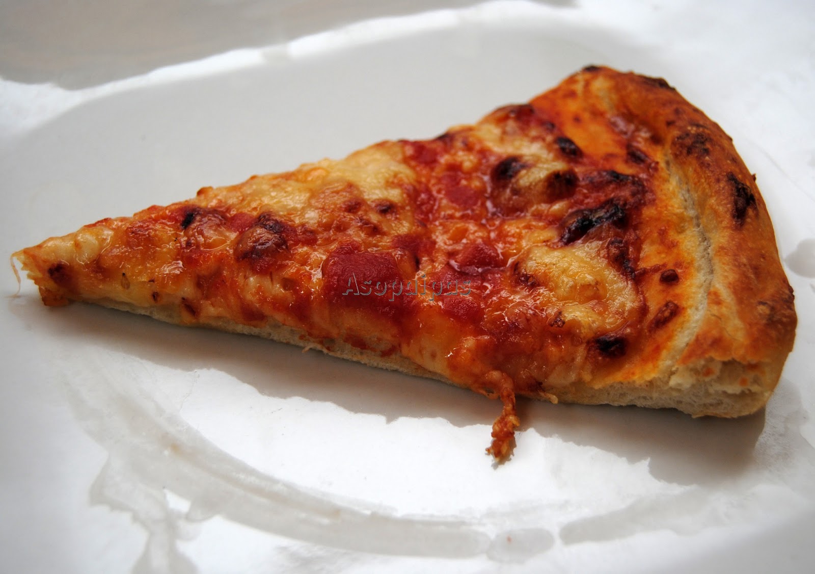 Pizza de Provolone y Salsa de Tomate. Receta Asopaipas. Recetas de