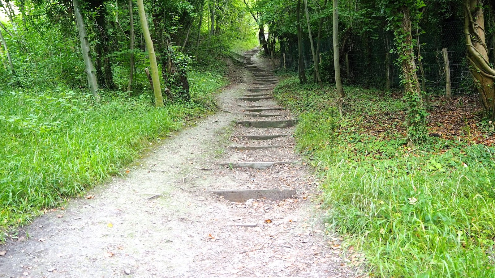 A Day at Box Hill