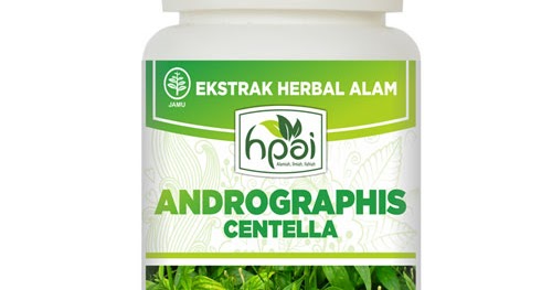 Komar HNI HPAI Manokwari Andrographis Centella
