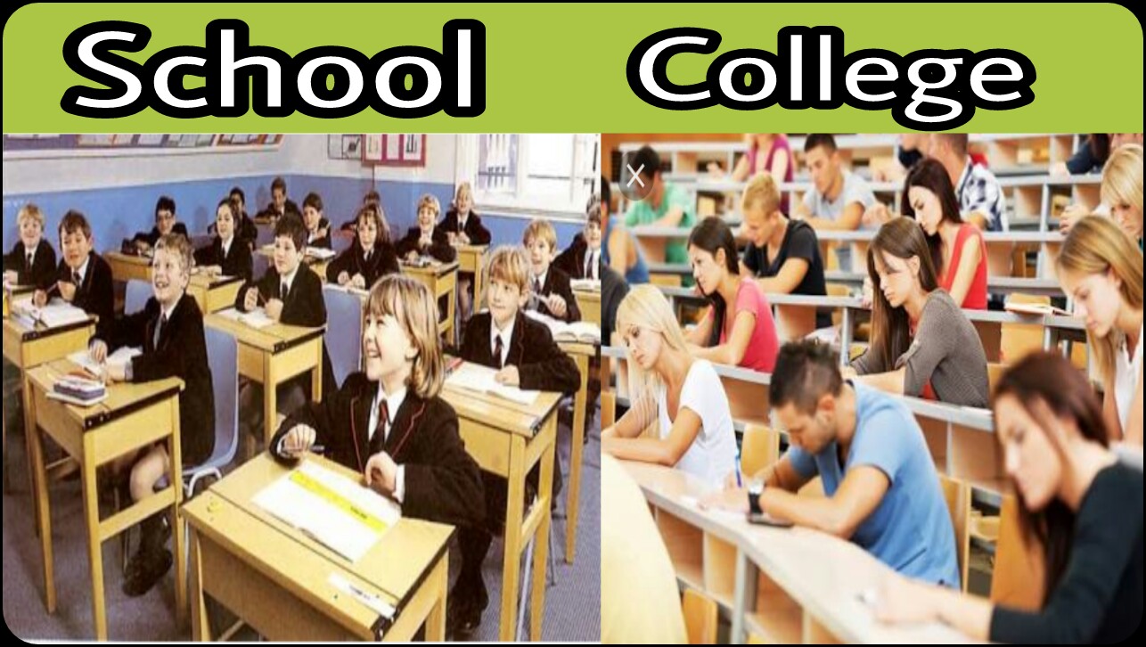 «School Life» («Школьная жизнь»). Школа vs колледж. The School of Life. Тест скул лайф по английскому колледж.