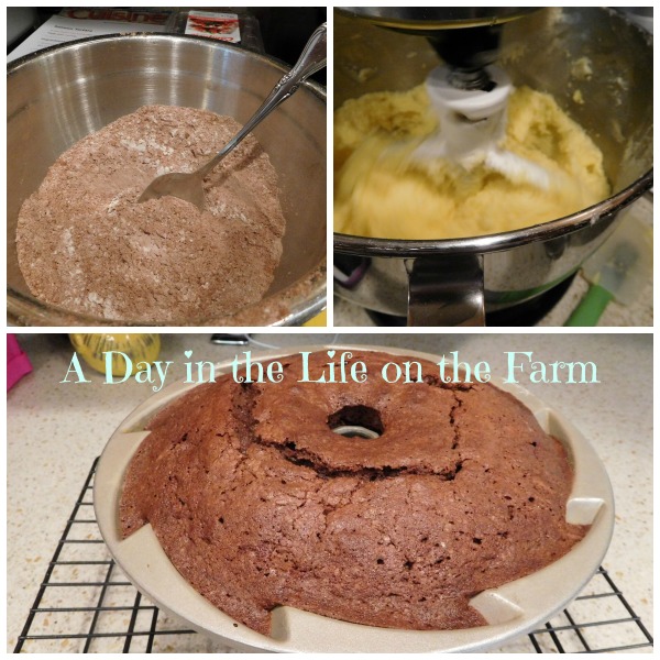A Day in the Life on the Farm: When your Cake is a Fail.....Just Bundt ...