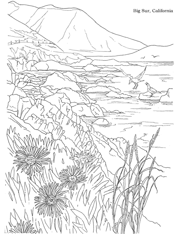 Texifornia California Coloring Pages
