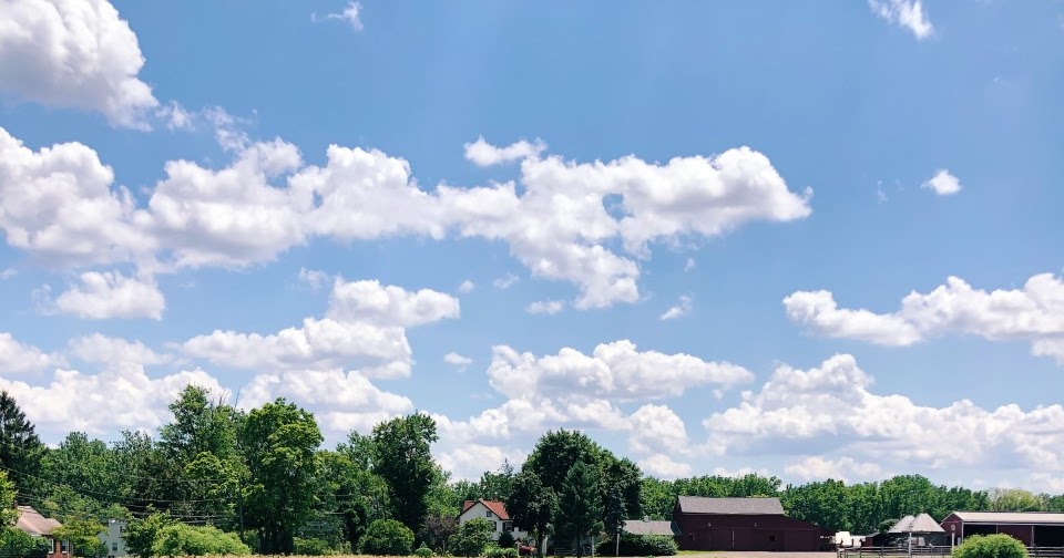 Flower Picking at Maple Acres Farm Organized Mess