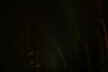 Norther Lights above our house