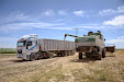 Fendt 6300 C Combine. Estero wheat