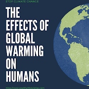 The Effects of Global Warming on Humans