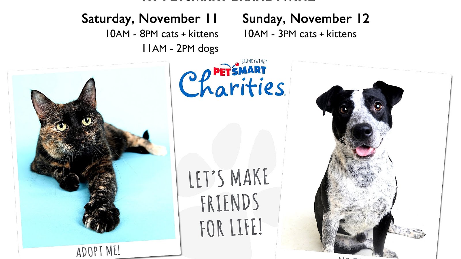 What Time Does Petsmart Open On Sunday Sunday Choices