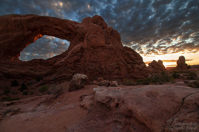 Window Arch