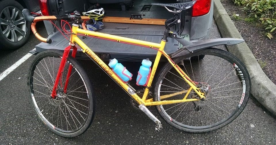 brider's place Daffodil Classic Ride, 60 miles in the mist