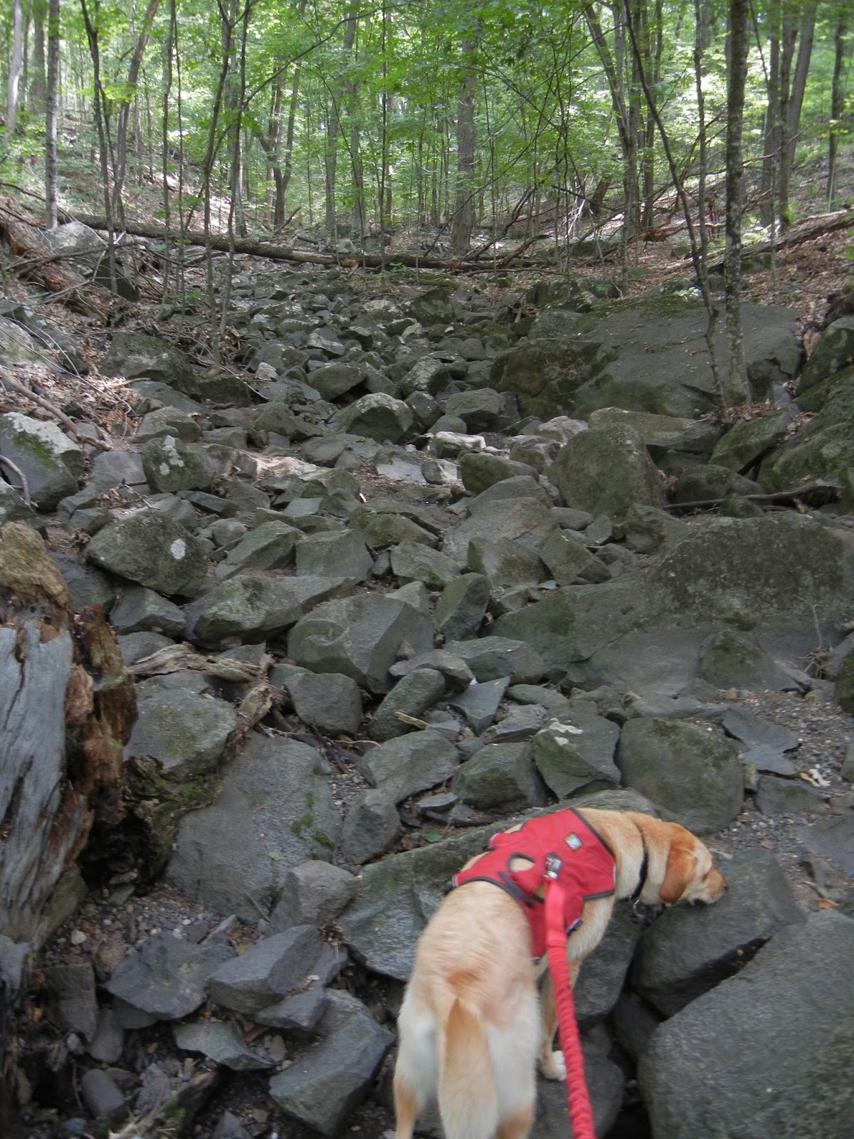 Hiking with Heather Ice Age Trail St. Croix Falls Segment (Part 1)