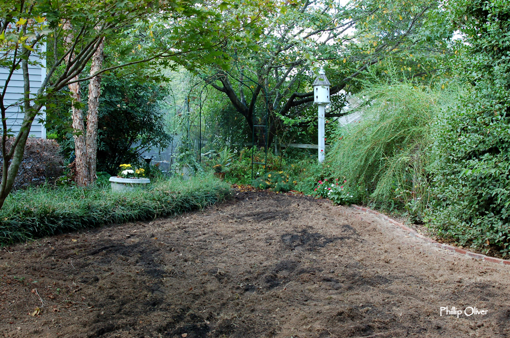 Lawn redo finishing up