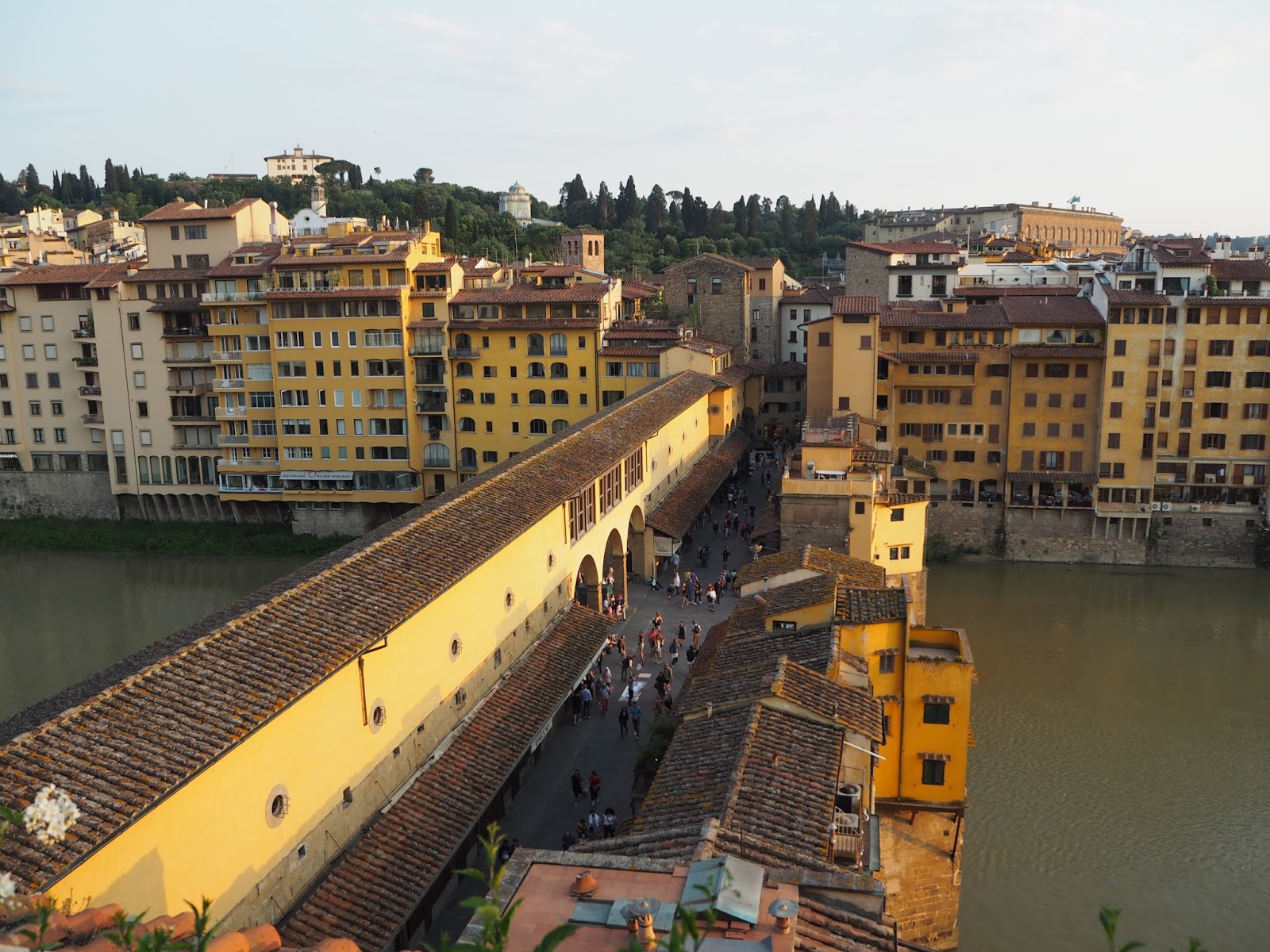 Ponte Vecchio in florence shot from the rooftop terrace of continentale hotel