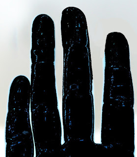 Fingers of the hand