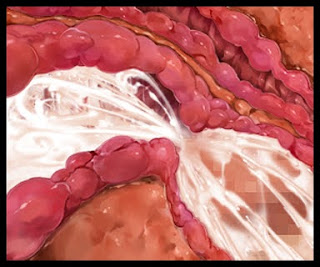 [CG] Welcome to Pussy Paradise