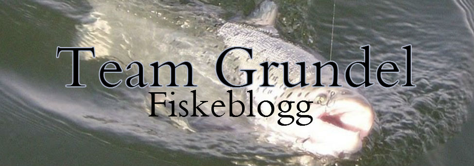 Välkomna till Team Grundel´s Fiskeblogg