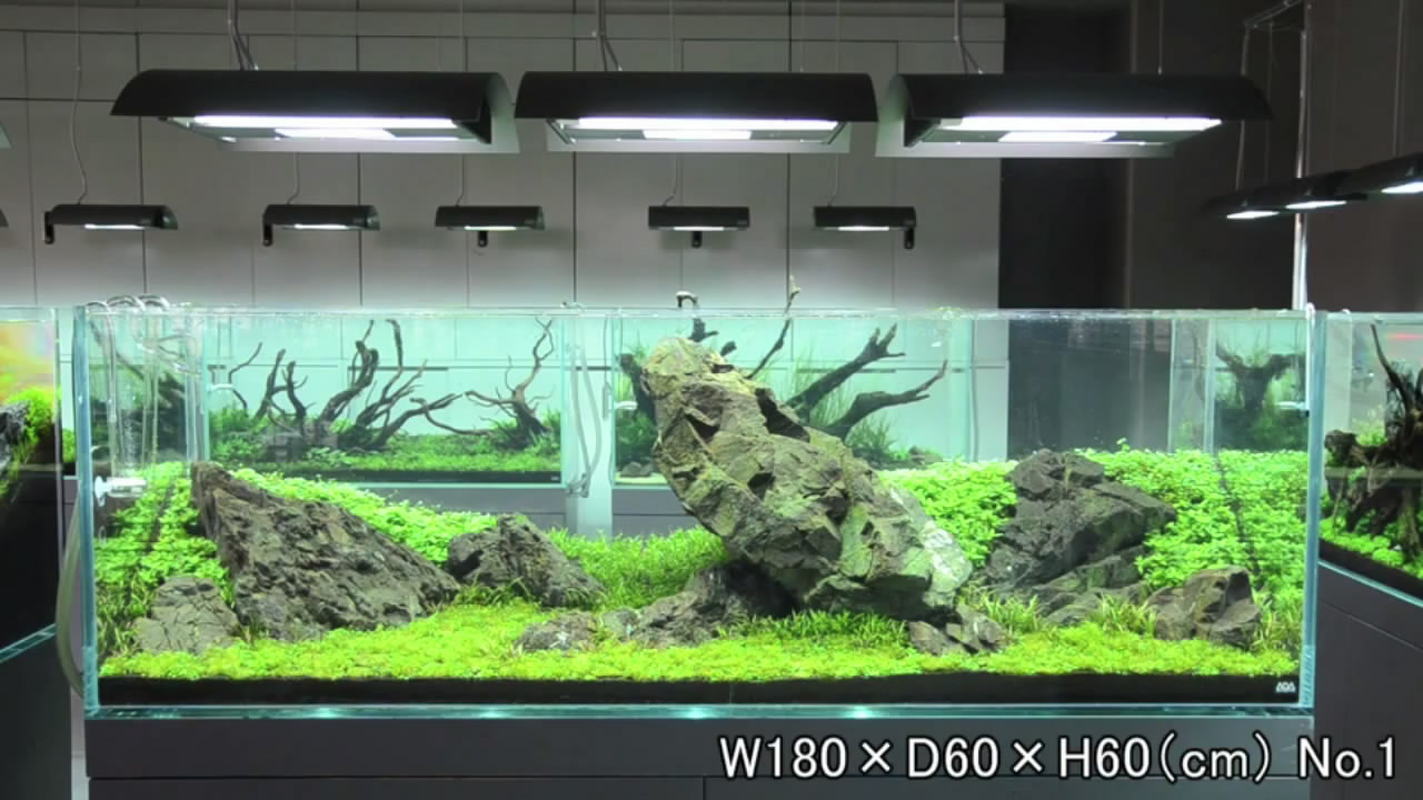 Braceless vs brace aquarium tank?