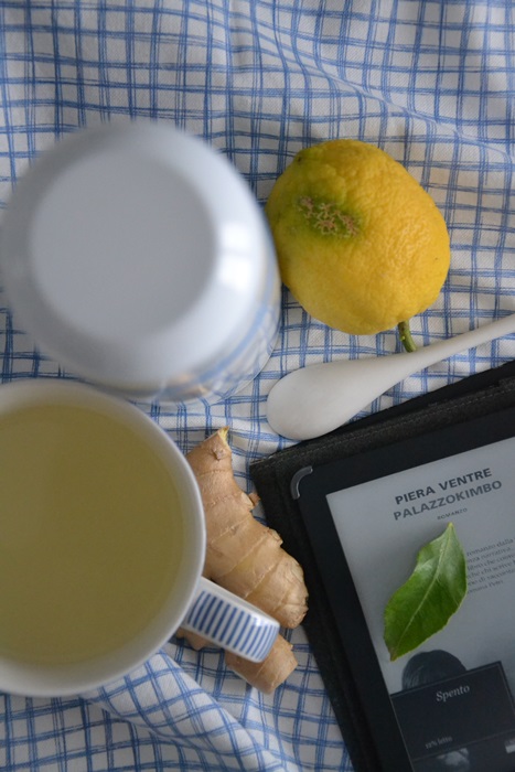 tisana detox zenzero, limone e mielbio al limone