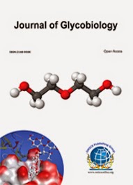 <b><b>Supporting Journals</b></b><br><br><b>Journal of Glycobiology </b>