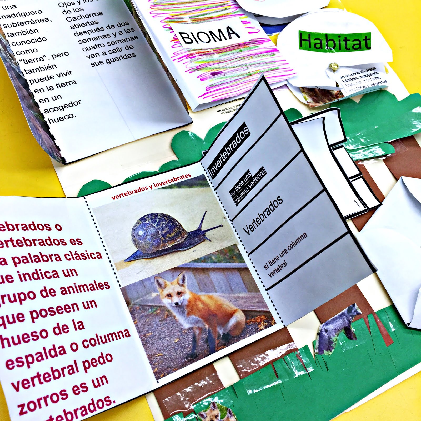 100 Editable Lapbook Templates Free