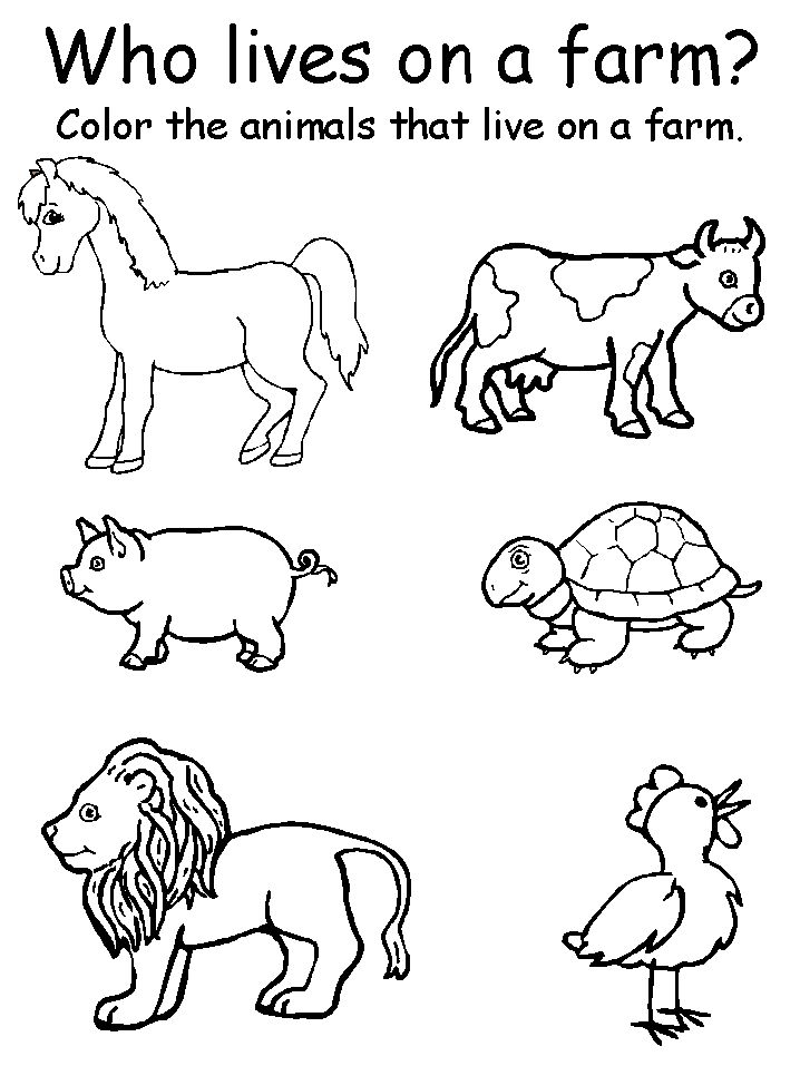 free-pet-animals-worksheets-for-preschools-pet-animals-names-pet-animals