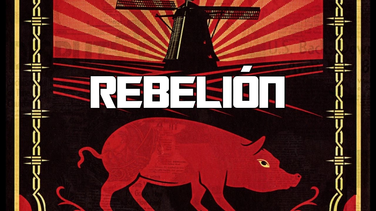 BRAYHAN CÁCERES Español 6 (14 de Septiembre)