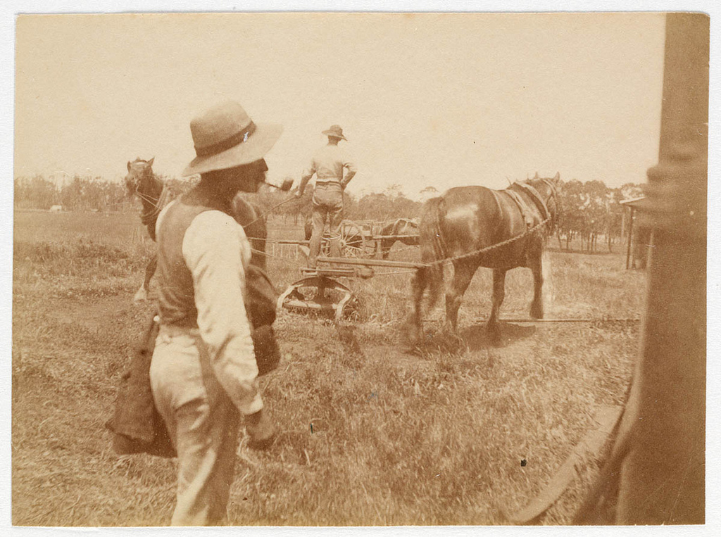 Австралия в 19 веке