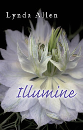 Illumine