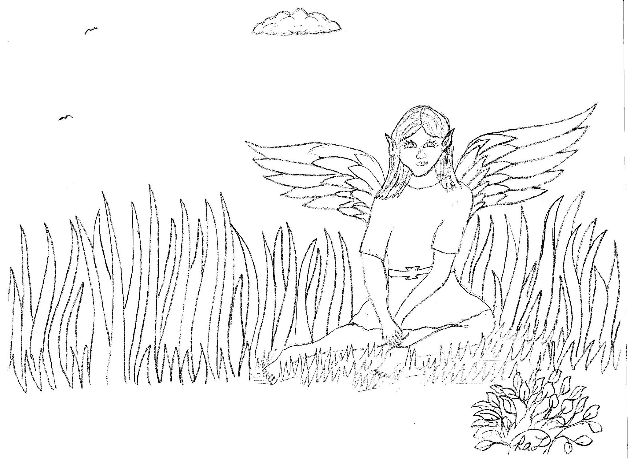 Robin's Great Coloring Pages: Butterfly Fairies and Bird Fairies coloring  pages