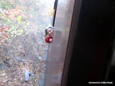 A Western Maryland Railroad Photojournal (Autumn Colors) on Homeschool Coffee Break @ kympossibleblog.blogspot.com #railroad #steamtrain