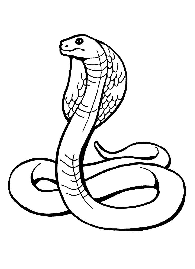 Desenho de Cobra corredora-azul para colorir