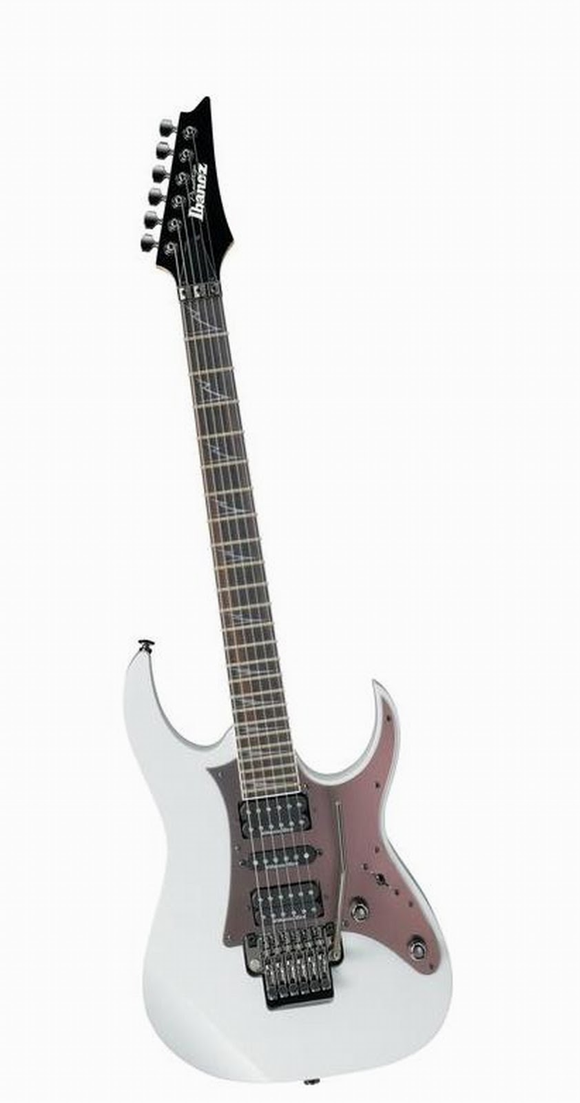 Guitar Ibanez RG 2550E Guitarist