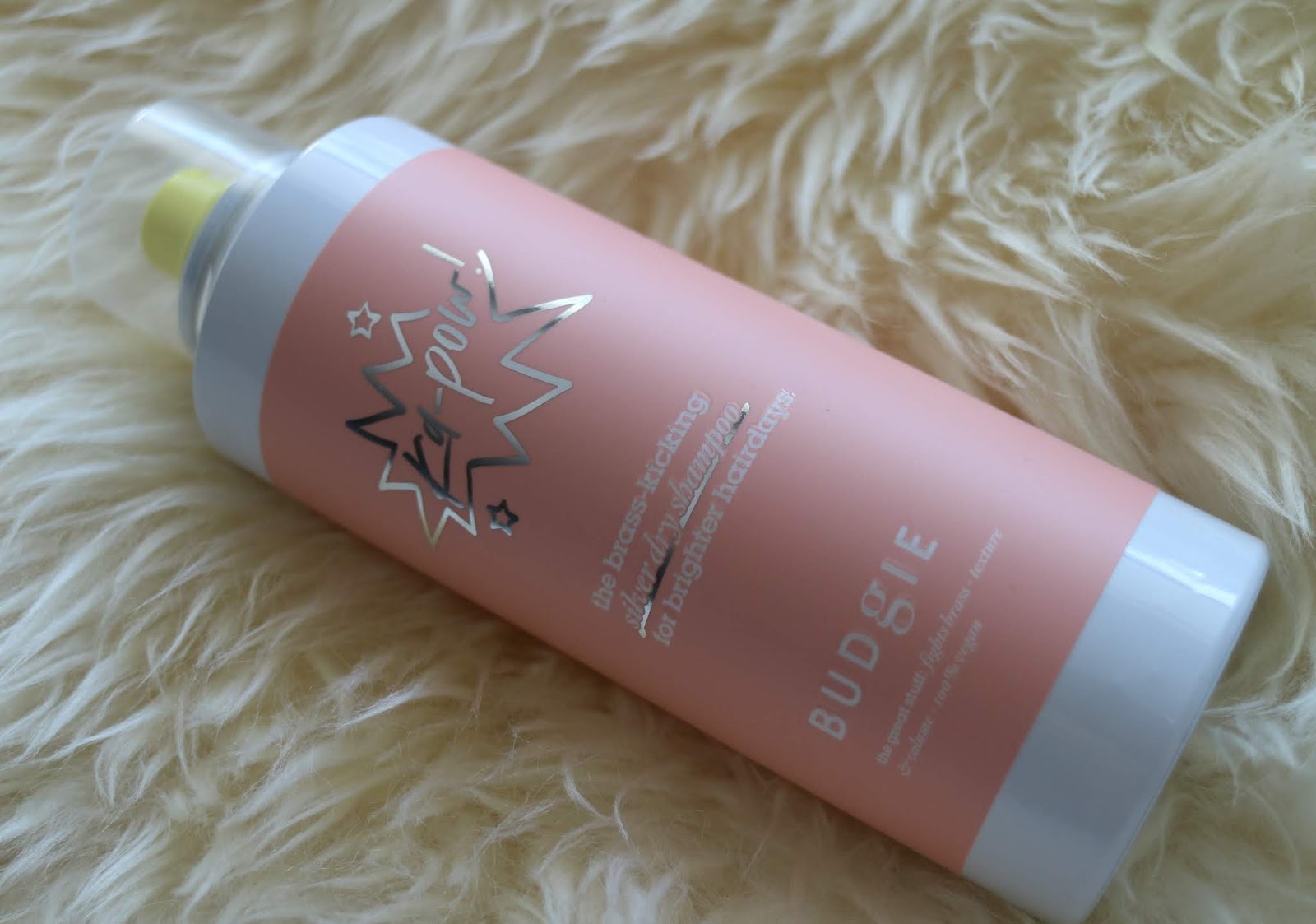 MissAria Budgie the silver dry shampoo