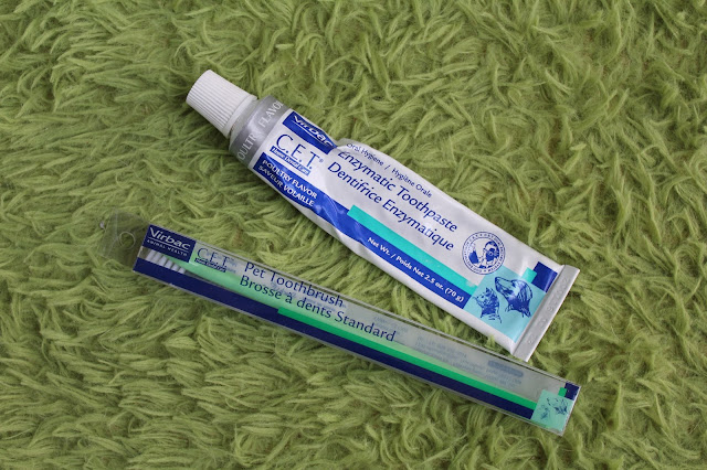 Virbac CET Enzymatic Toothpaste Review