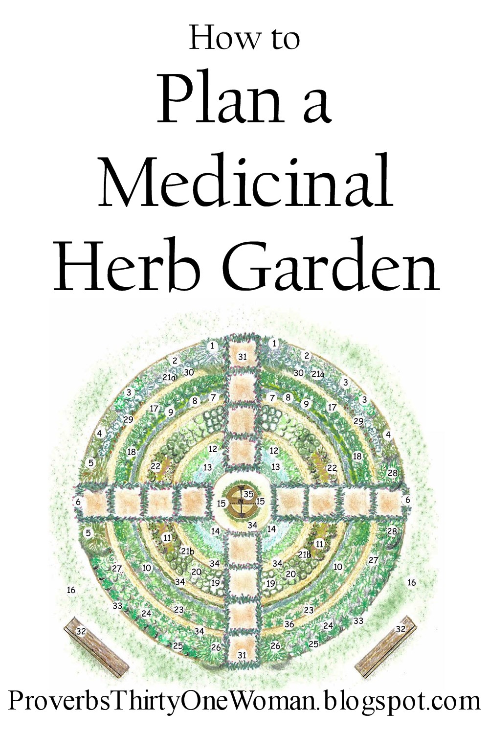 How to Plan a Medicinal Herb Garden Proverbs 31 Woman