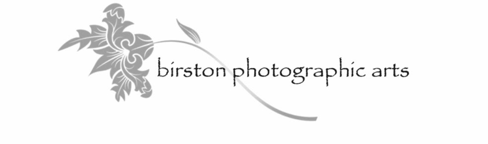 Birston Photographic Arts 