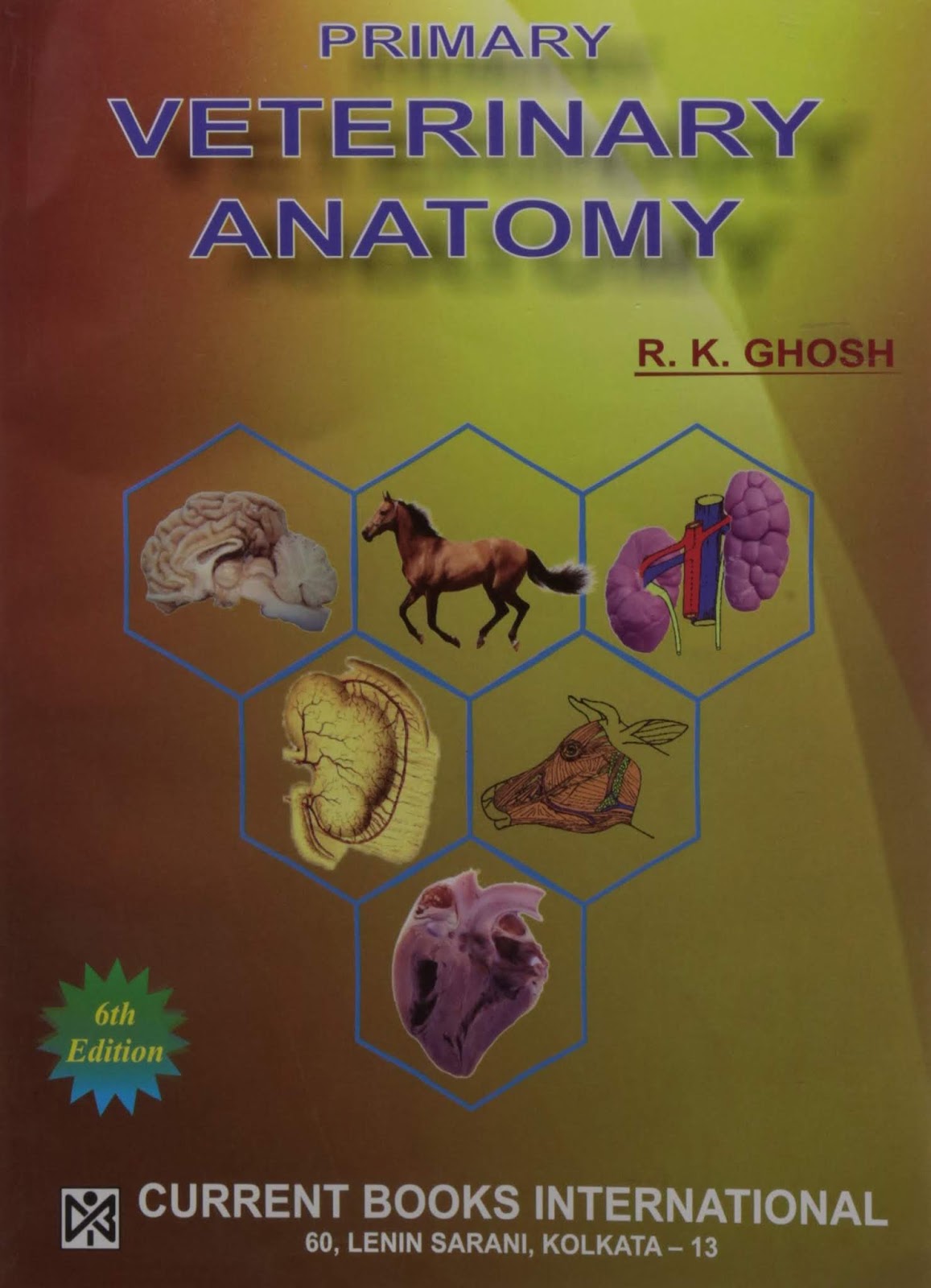 Primary Veterinary Anatomy