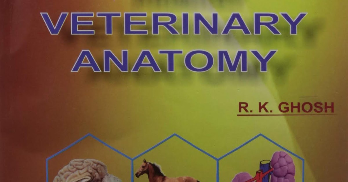 Primary Veterinary Anatomy