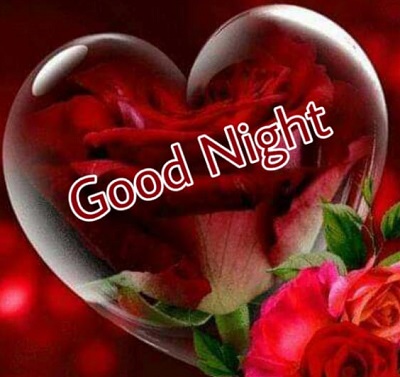Download 25+ Cute Good night Images Download 25+ Cute Good night Images
