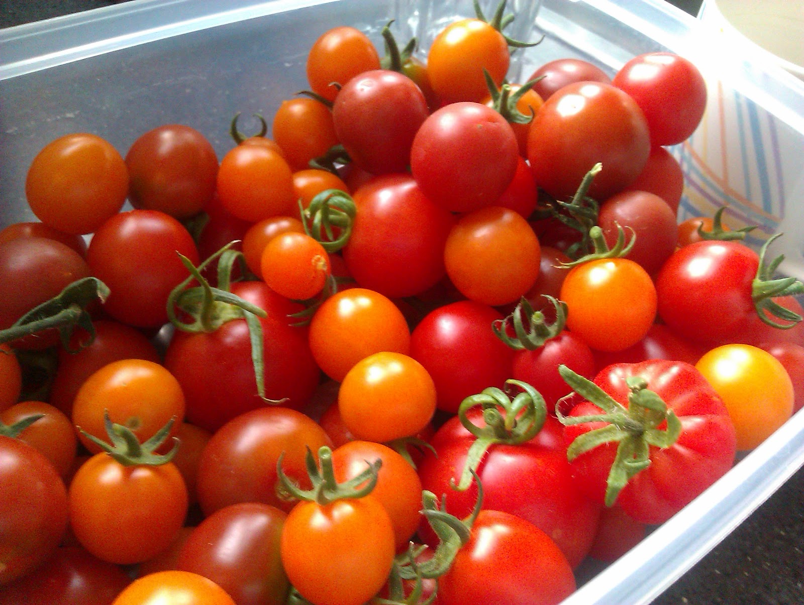 Smith's Kitchen Too many tomatoes?